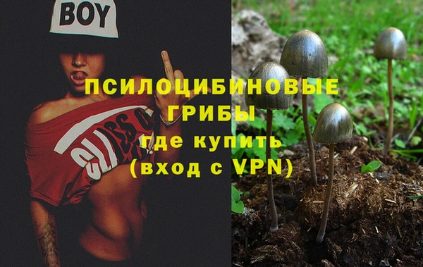 дживик Алексеевка