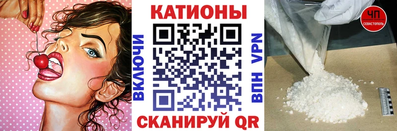 магазин продажи наркотиков Гвардейск площадка телеграм Меф мяу мяу